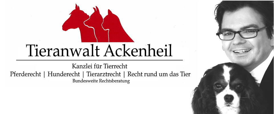 Ackenheil Kanzlei fuer Pferderecht Pferdekauf bundesweite Rechtsberatung Pferderecht